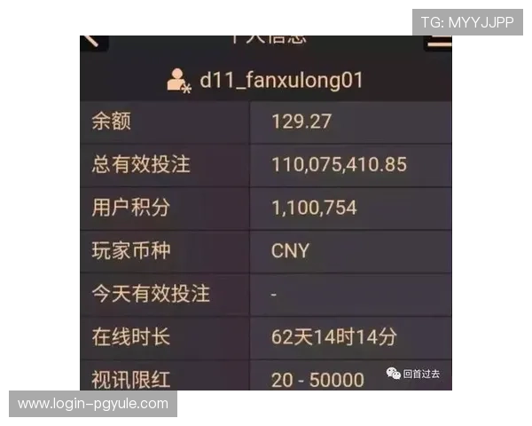 AG百家乐代理平台全面解析助你轻松开启高收益代理之路